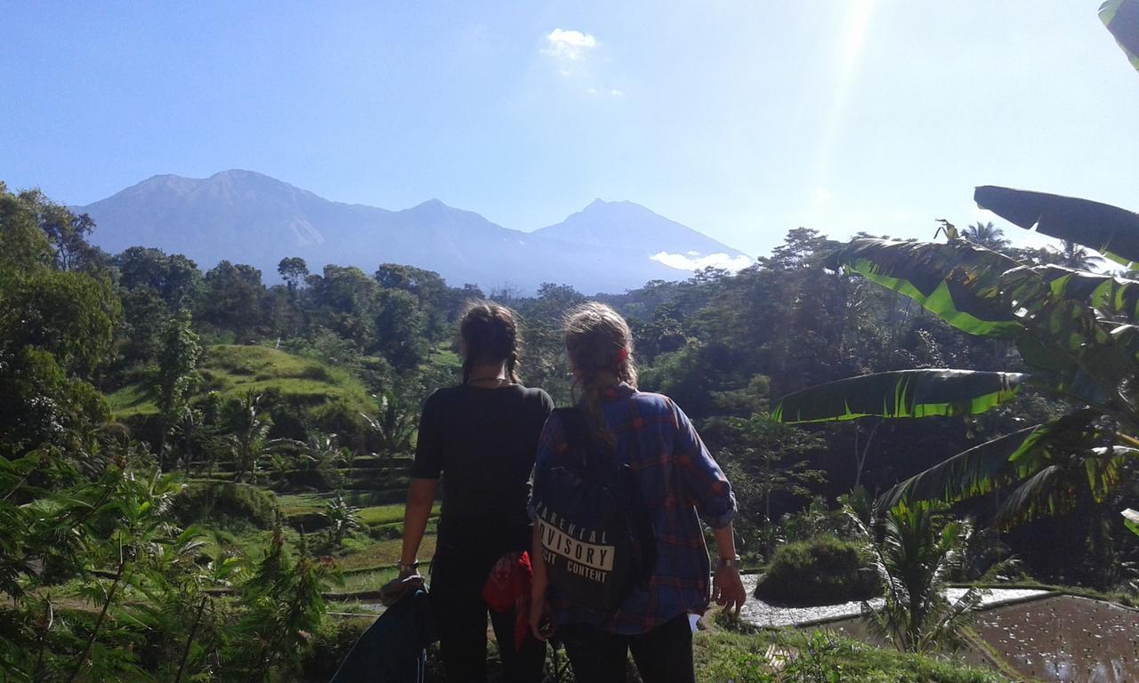 Tereng Wilis Jungle Inn เตเตบาตู ภายนอก รูปภาพ