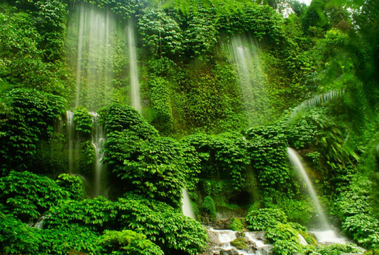Tereng Wilis Jungle Inn เตเตบาตู ภายนอก รูปภาพ